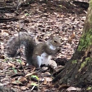 Meet your Posher, Lilly